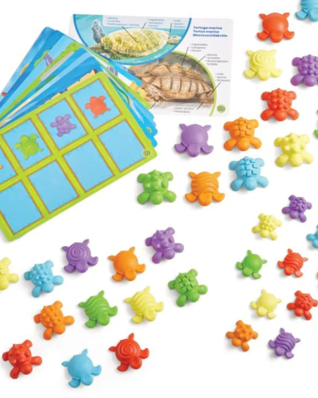 Hand2Mind – Tactile Turtles Maths Activity Set 1